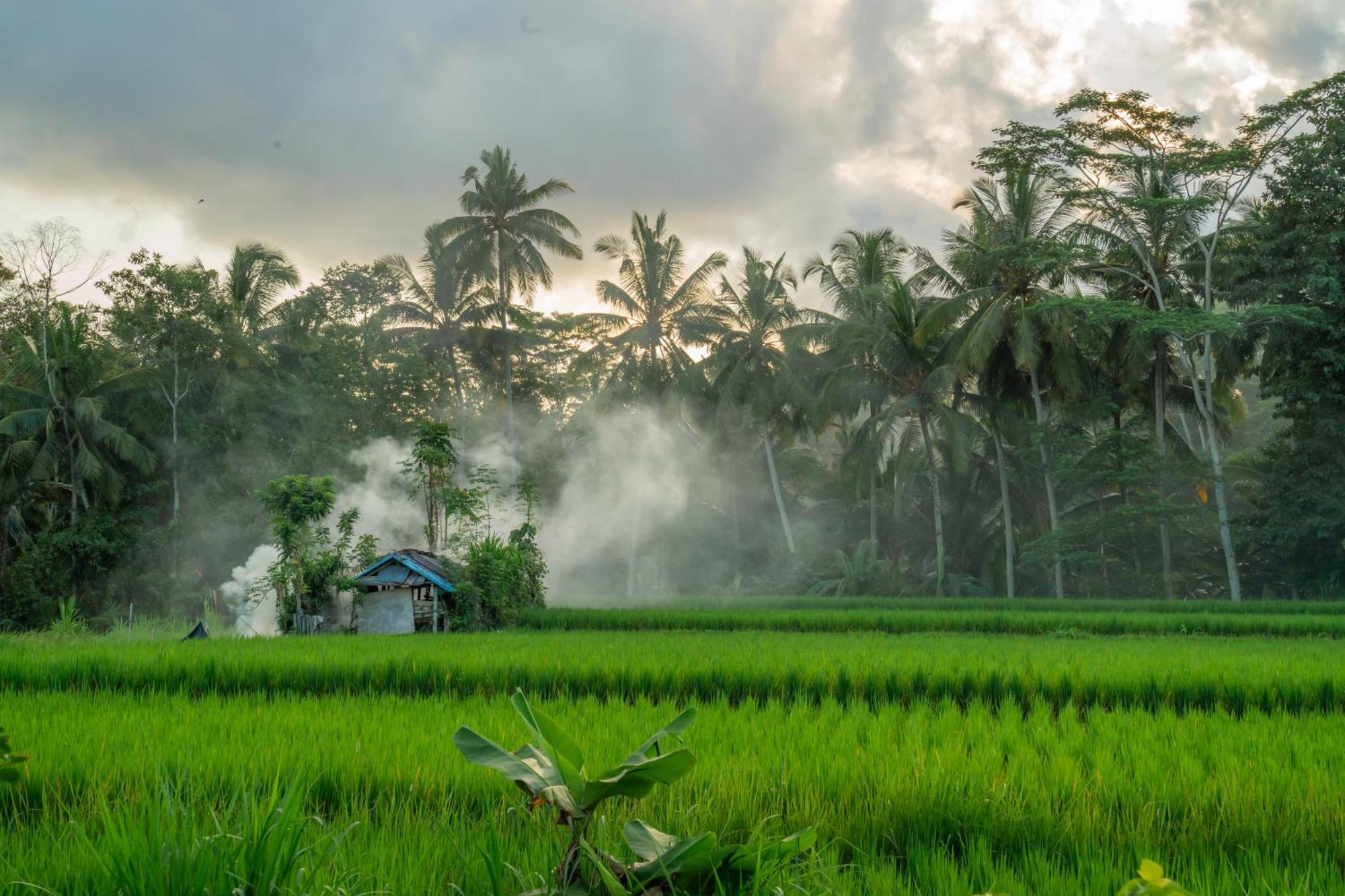Kampung Uma Dawa Villas And Spa 乌布 外观 照片