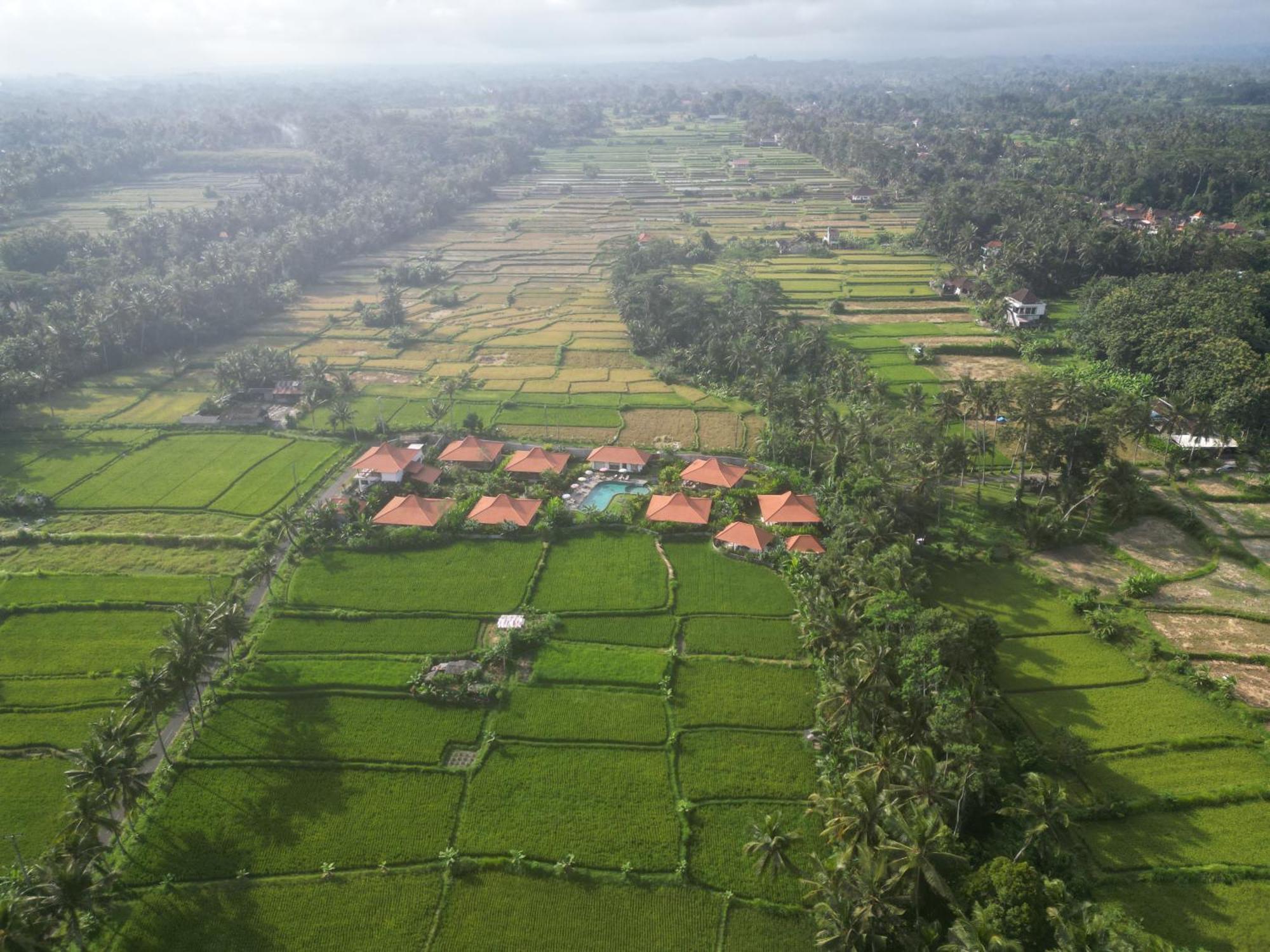 Kampung Uma Dawa Villas And Spa 乌布 外观 照片