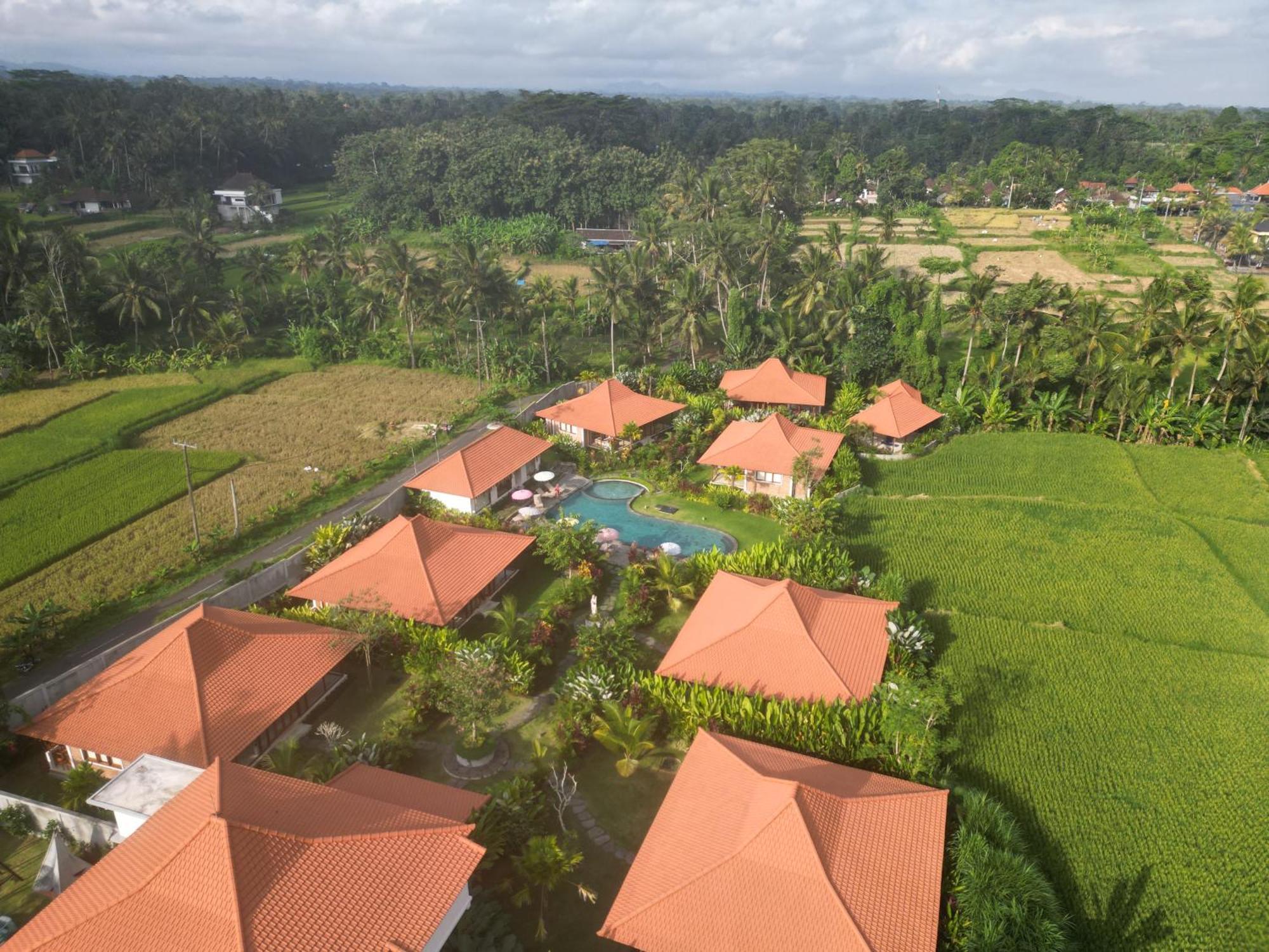 Kampung Uma Dawa Villas And Spa 乌布 外观 照片